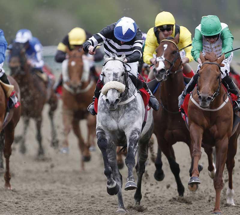 Group of jockeys racing.