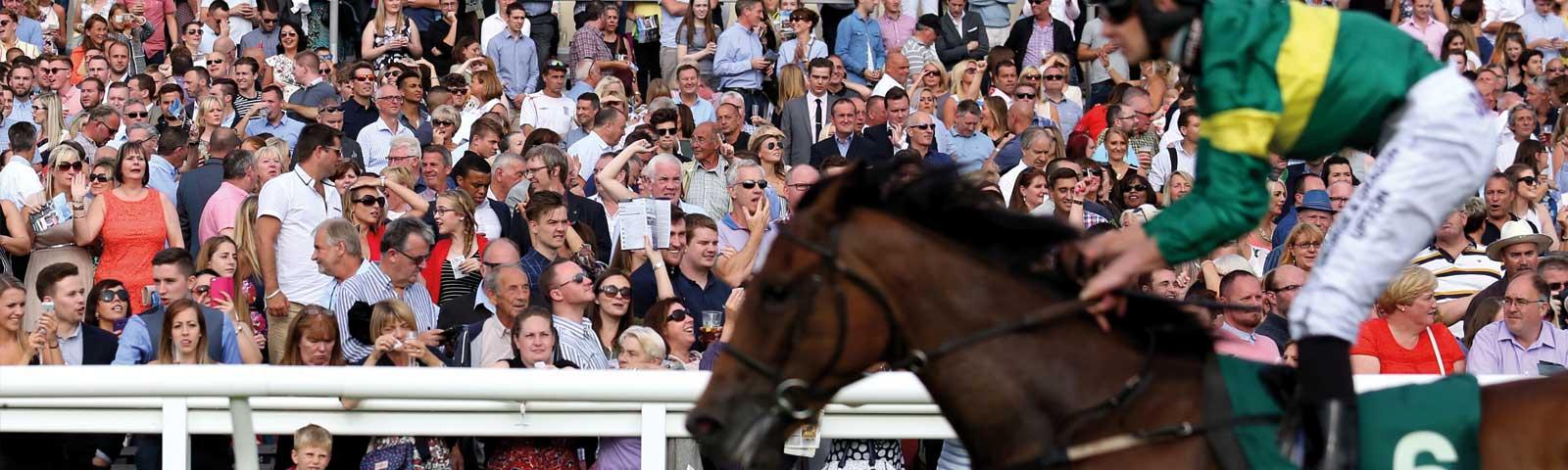 Jockey on a horse with crowds in the background.