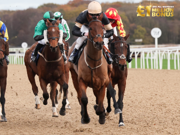 Eagle's Realm wins at Newcastle