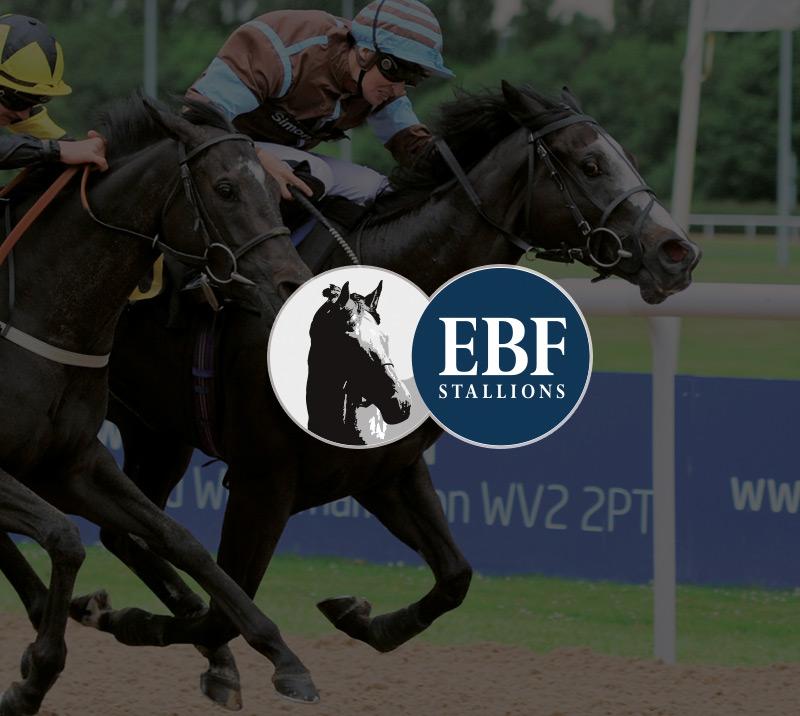 Jockeys racing, with European Breeders Fund logo on top of the image.