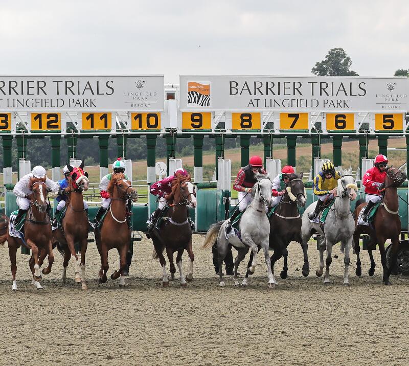 Arabian Racing at Lingfield Park Racecourse