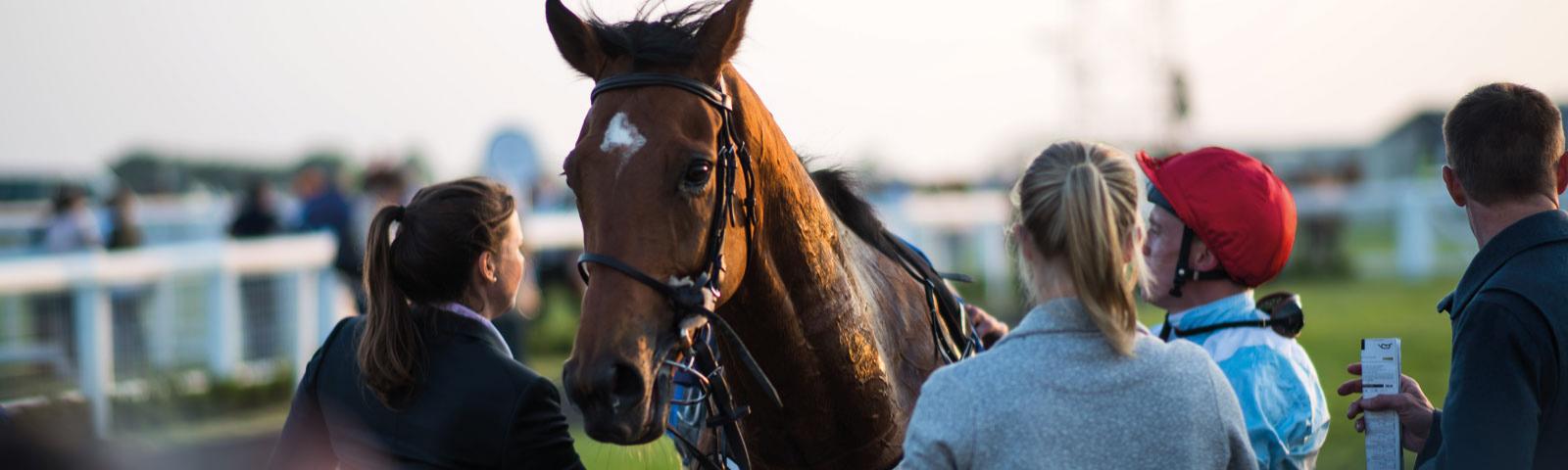 Race horse with jockey and the owner.