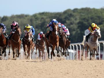 Withhold wins the Northumberland Plate 2018