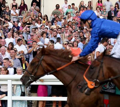 Jockey racing with crowds in the background.
