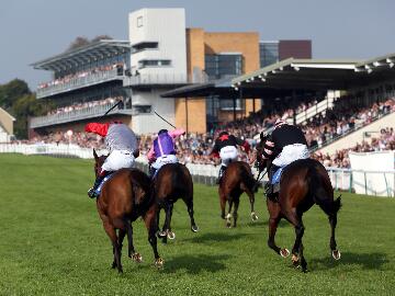 Fontwell Park Racecourse