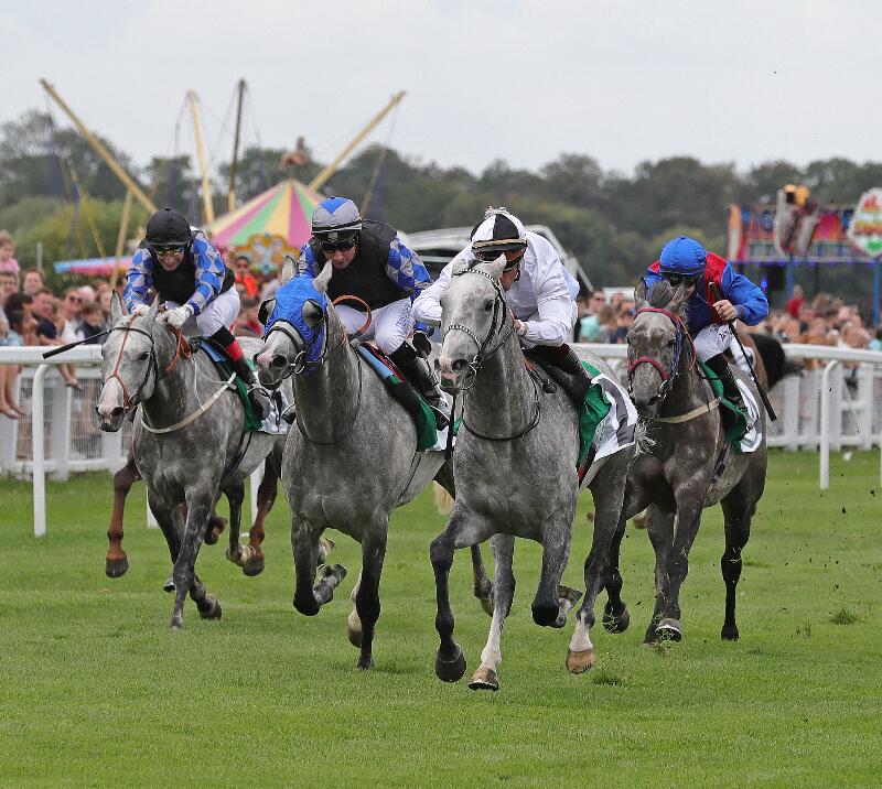 Arabian Racing at Royal Windsor Racecourse