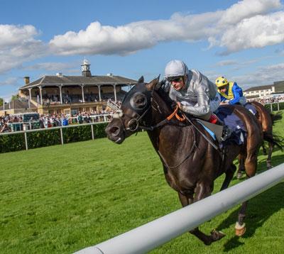 Jockeys racing past the crowds.
